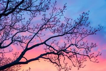 Fototapeta premium Tree Silhouette Against Vibrant Sunset Sky