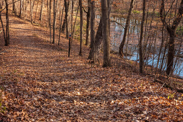 Obraz premium The hiking trail, covered with leeaves in early November, parallels a small kettle pond within Pike Lake Unit, Kettle Moraine State Forest, Hartford, Wisconsin