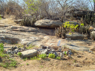 Obraz premium Sertão nordestino