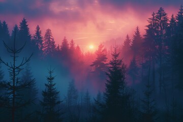 Mystical Sunset Over Foggy Forest