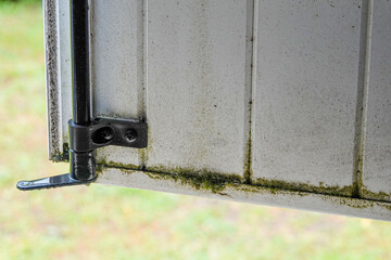 moss and mold on the white painted surface of a metal shutter