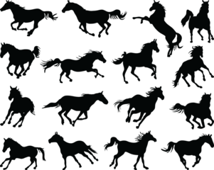 PNG Big set of horses silhouettes