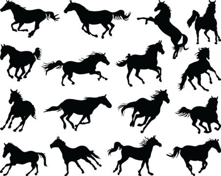 PNG Big set of horses silhouettes