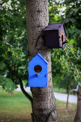 birdhouse on a tree