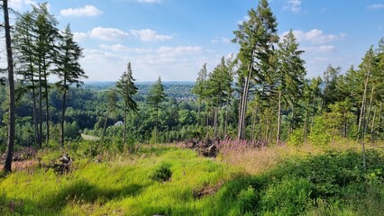 panoramic view on the eggeosthang near horn-bad meinberg