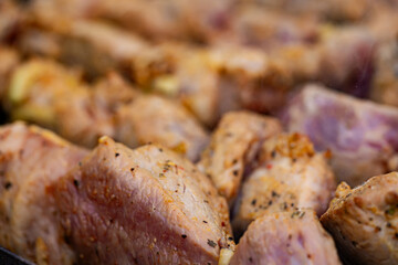 Grilled Chicken Skewers. Close-up of grilled chicken skewers, seasoned with spices and ready to be served.