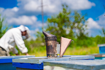 Bee Smoker On Hive In Apiary. A bee smoker sits on top of a beehive in an apiary.