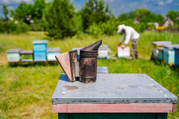 Bee Smoker on Beehive in Apiary. A bee smoker sits on top of a beehive in an apiary, with beekeeper and other hives in the background.