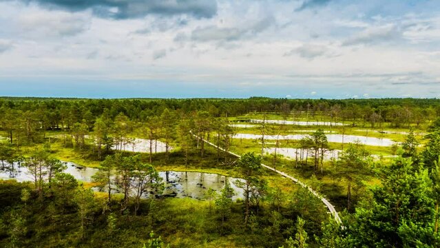 Swamp Viru Raba in Estonia