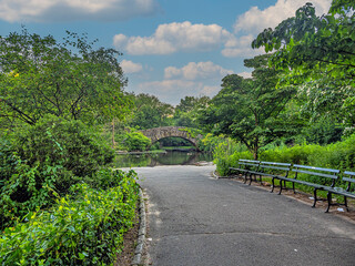 Gapstow Bridge in Central Park, early summer
