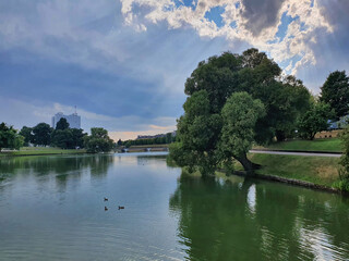 Scenic lush tree on empty embankment of Upper Lake - artificial city pond in Kaliningrad, Russia under dramatic sky with sun rays shining through clouds at summer day. With no people cityscape.