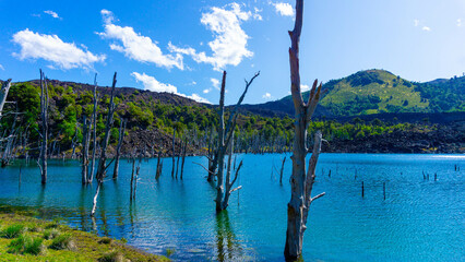 views from trip Lake and forest and bycicle and others