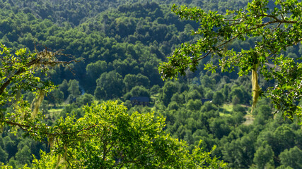 views from trip Lake and forest and bycicle and others