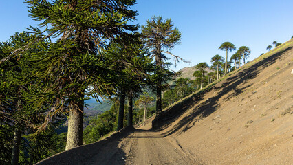 views from trip Lake and forest and bycicle and others