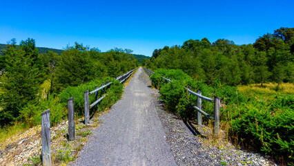 views from trip Lake and forest and bycicle and others