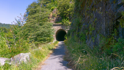 views from trip Lake and forest and bycicle and others