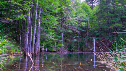 views from trip Lake and forest and bycicle and others