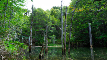 views from trip Lake and forest and bycicle and others