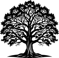 Obraz premium Vector Oak Tree Silhouette on a white background