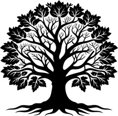 Obraz premium Vector Oak Tree Silhouette on a white background