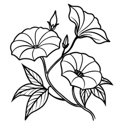 Morning glories, simple outline and shapes of A coloring page, coloring book page silhouette vector illustration