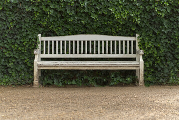 Wooden bench painted white in a park in Berlin.