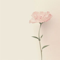 One flower on plain colors background.