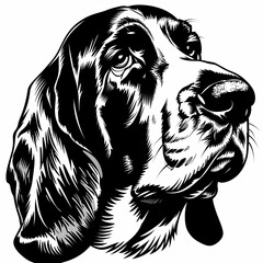 Fototapeta premium A black and white drawing of a Basset Hound dog