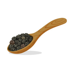 Vector illustration of black pepper on a wooden spoon, isolated on white background.