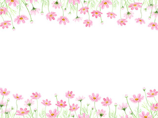 水彩で描いたコスモスのフレーム