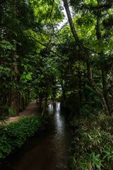 カッパ淵（岩手県遠野市）