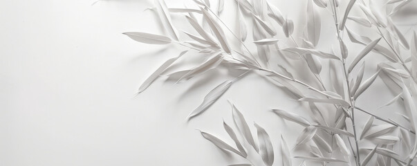 White Bamboo Leaves: White bamboo leaves on a white background, evoking a serene and minimalist natural aesthetic.