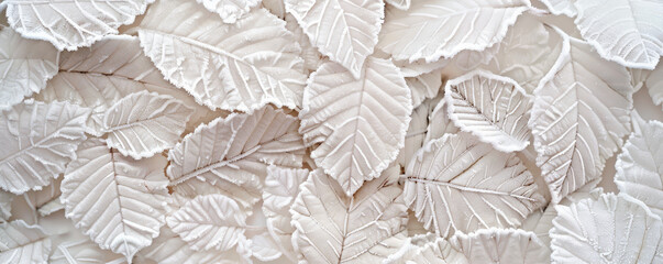 White Frosted Leaves: Frosted white leaves on a white background, creating a wintry and delicate scene.