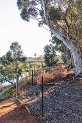 walking trail in australian bushland