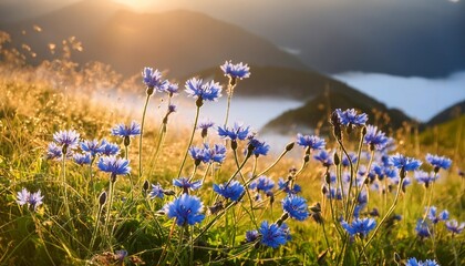 blue wild flowers in the morning light generative ai