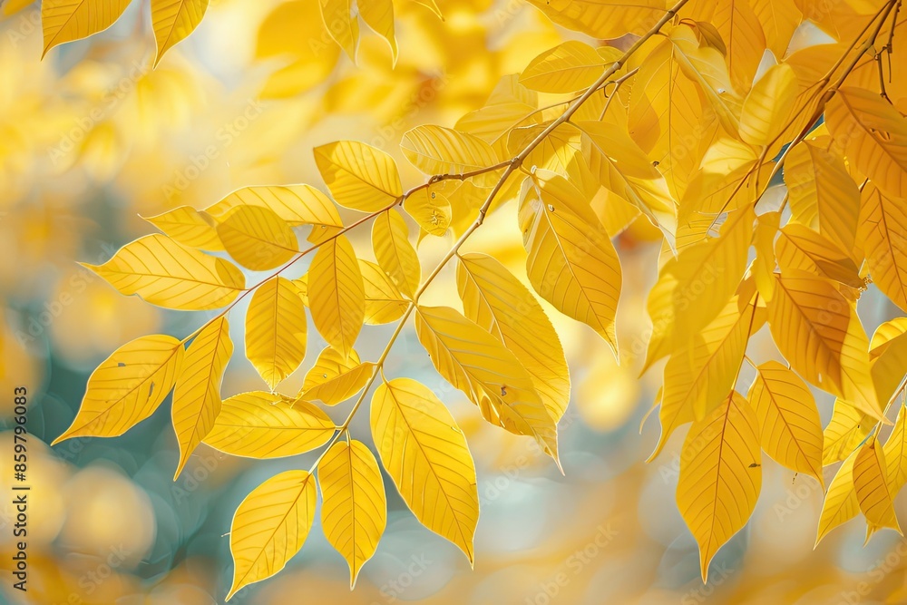 Poster a tree branch with yellow leaves is the main focus of the image. the leaves are arranged in a way th