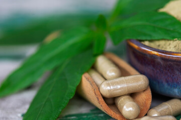 Herbal capsules of Paniculata in wooden spoon