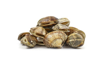 Closed up fresh baby clams, venus shell, shellfish, carpet clams, short necked clams, as raw food from the sea are the seafood ingredients. fresh clams Background.