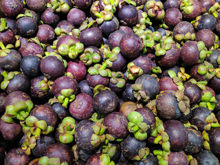 mangosteen
