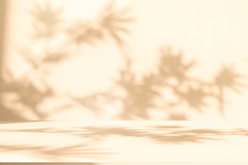 Obraz premium Wall interior background, studio and backdrops show products. with leaf shadow from window color beige and white. background for text insertion and presentation of product