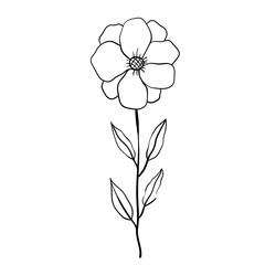 Hand drawn simple flower outline