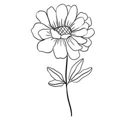 Hand drawn simple flower outline