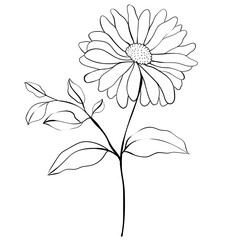 Hand drawn simple flower outline