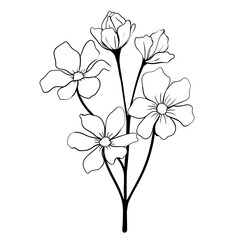Hand drawn simple flower outline