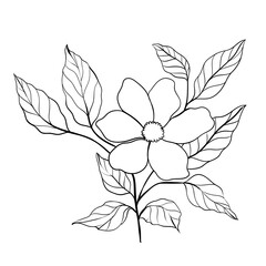 Hand drawn simple flower outline