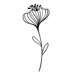 Hand drawn simple flower outline