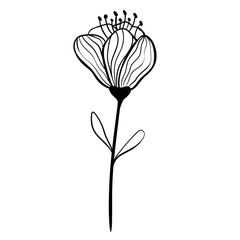 Hand drawn simple flower outline
