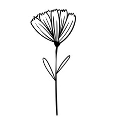 Hand drawn simple flower outline