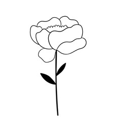 Hand drawn simple flower outline