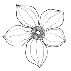 Hand drawn simple flower outline